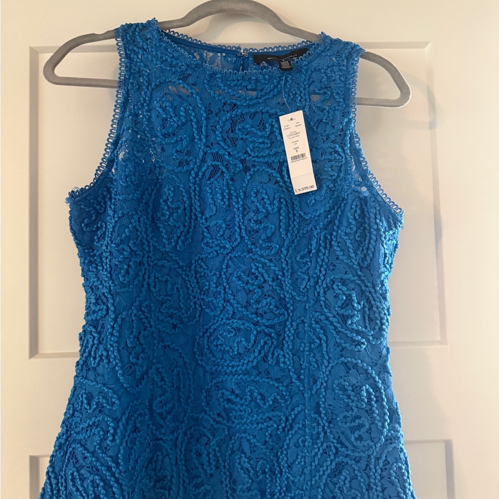 White House Black Market Vibrant Blue Lace Dress